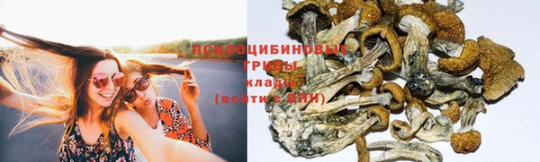 бошки Арсеньев