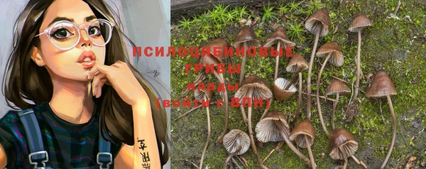 герыч Аркадак