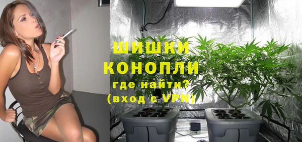 крисы Армянск