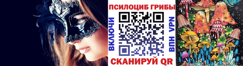 где продают   Рыбинск  Псилоцибиновые грибы Cubensis 