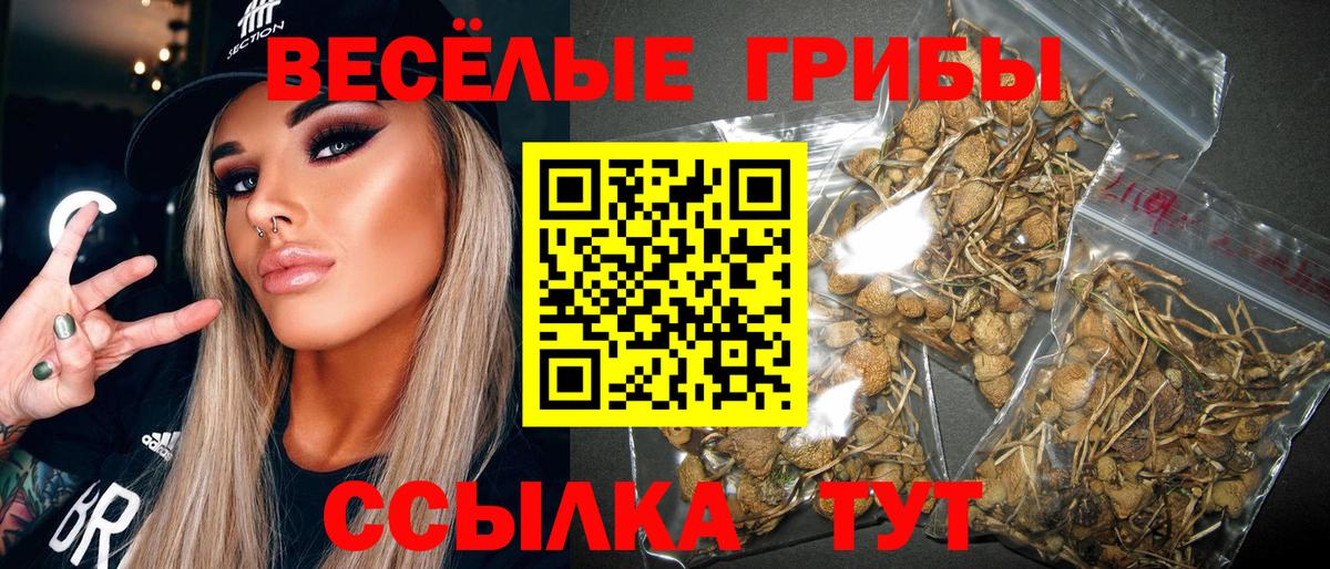 где найти   Псилоцибиновые грибы прущие грибы  Вход с VPN  Рыбинск 